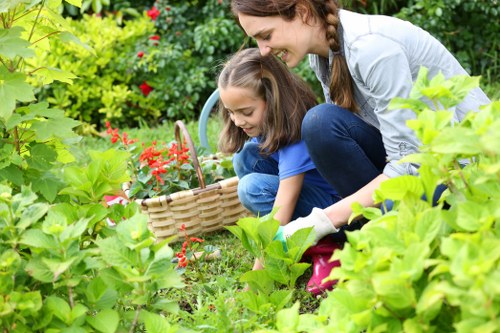 Professional landscapers planning a garden design in Harrow