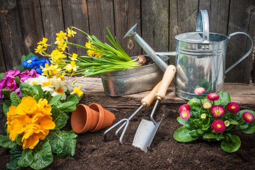 Selection of native plants ideal for Harrow's climate
