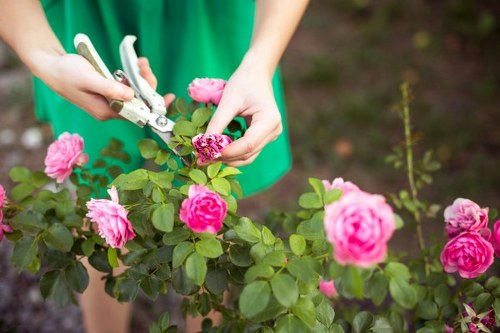 Selection of plants suitable for Harrow landscape gardening