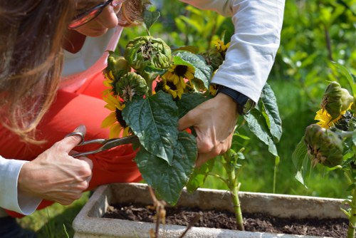 Eco-friendly garden maintenance practices in Harrow